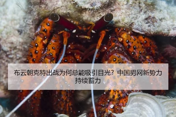 布云朝克特出战为何总能吸引目光？中国男网新势力持续蓄力